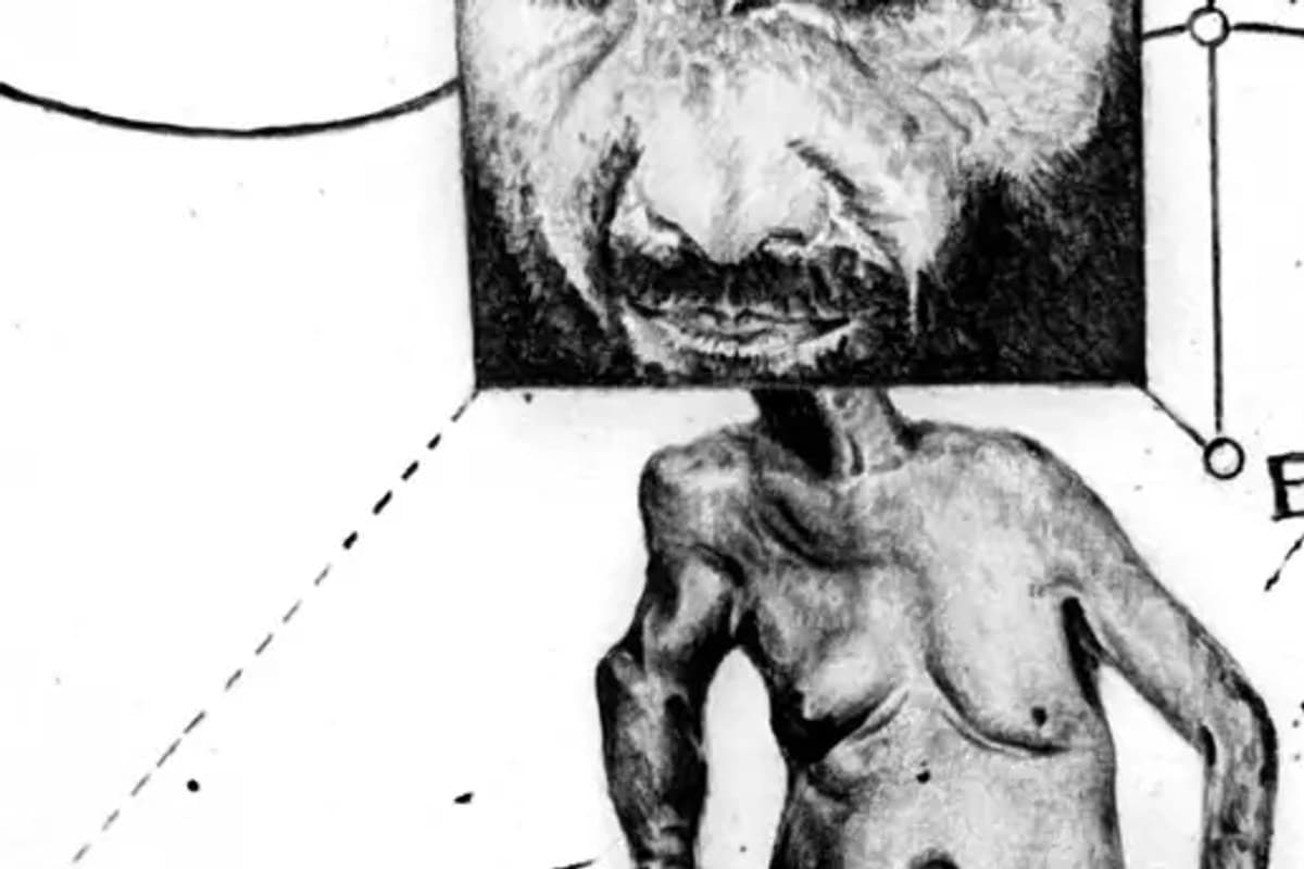 Twisted Bodies — Solo exhibition